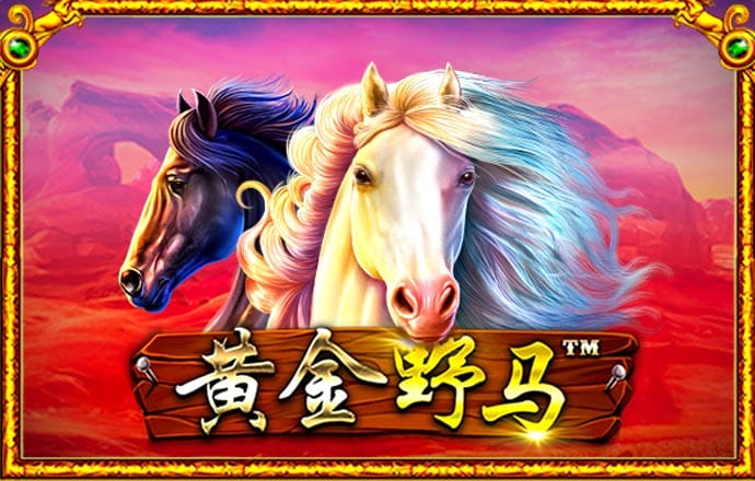 虎博体育app官网
